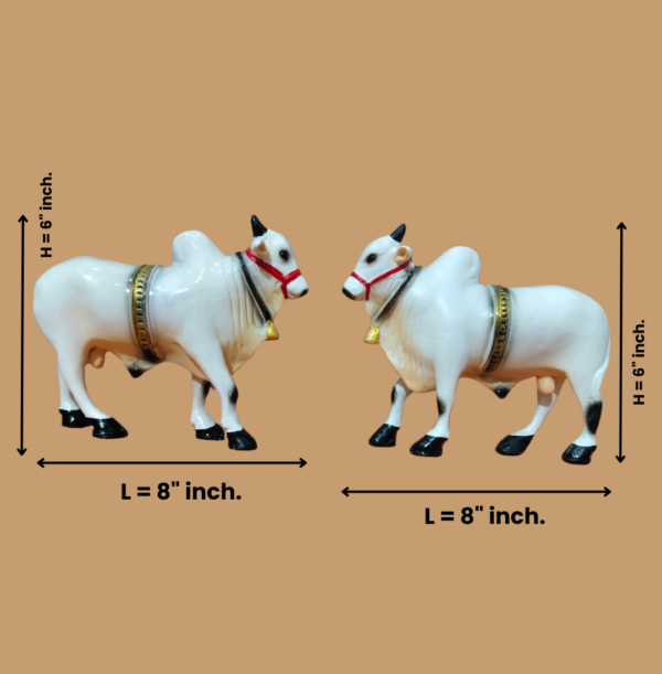 Ongole bull