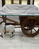 Teak wood bullock cart set