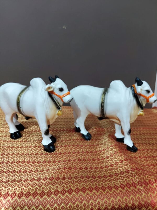 Ongole bull