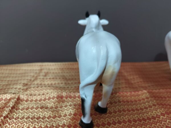 Ongole bull