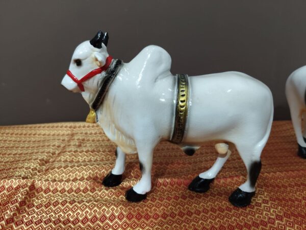 Ongole bull