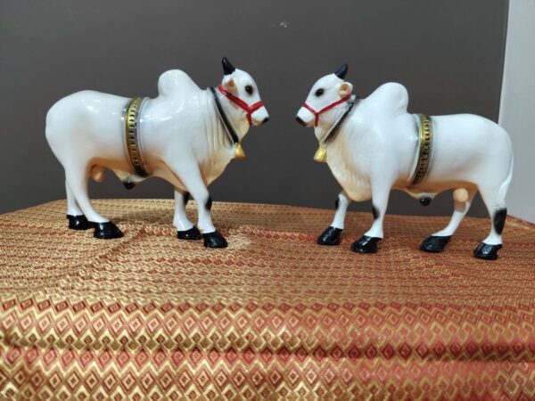 Ongole bull