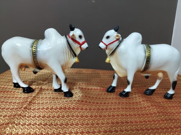 Ongole bull