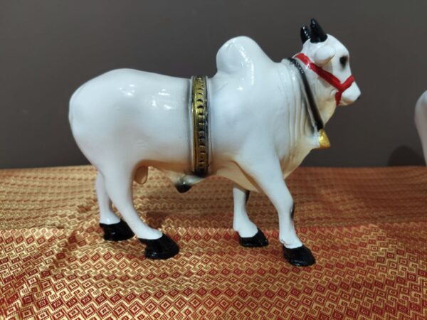 Ongole bull